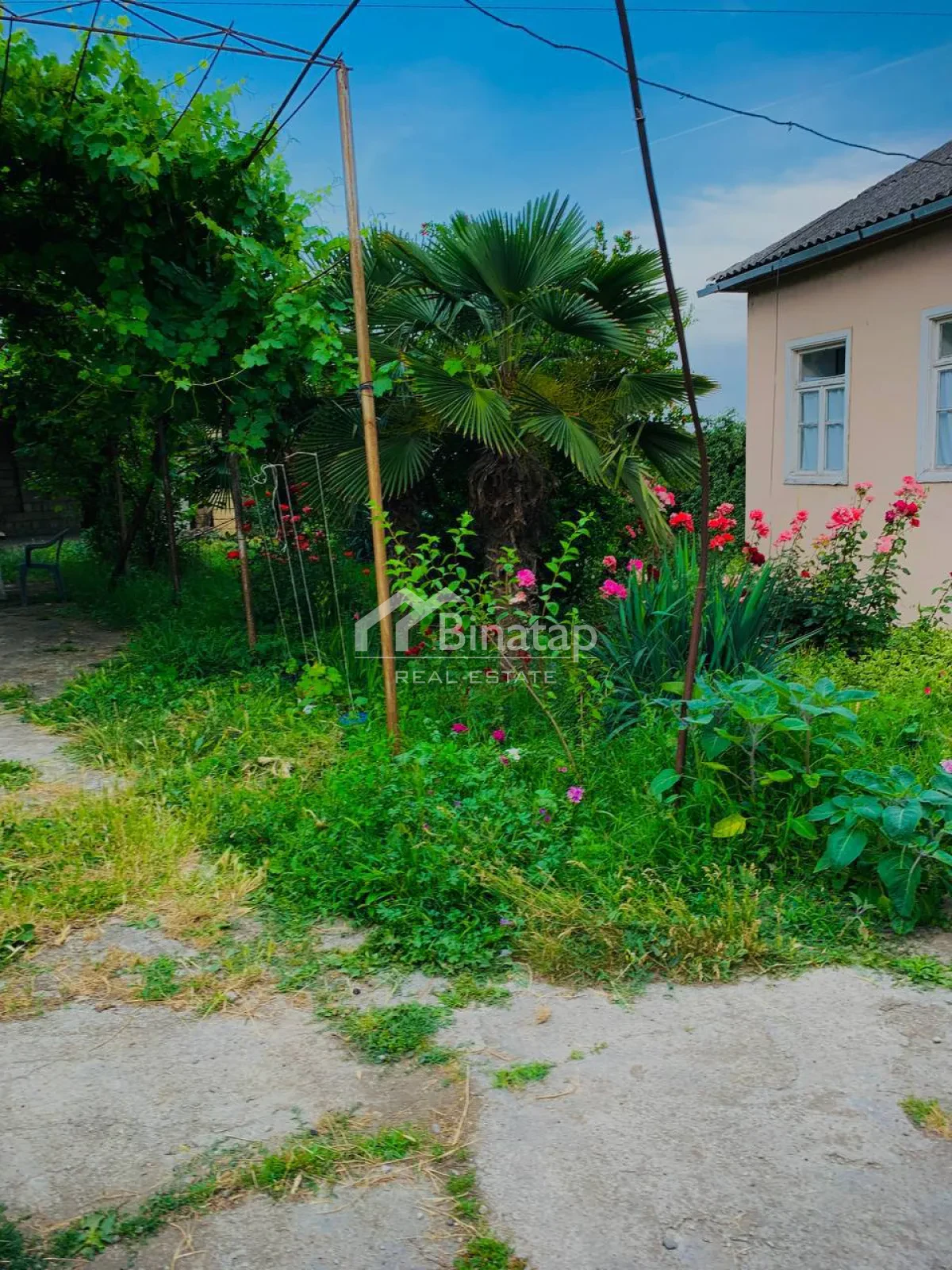 Satılır 6 otaqlı həyət evi / bağ evi 1800 m², Quba rayonu — Ev, villa, Bakı
