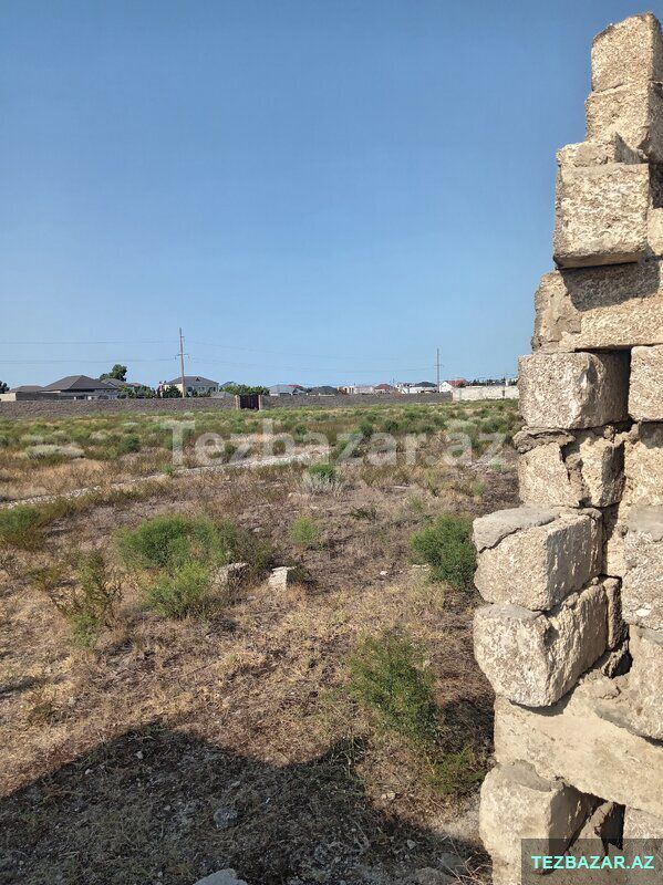 Kupçalı 12 sot torpaq — Torpaq, Bakı (9)