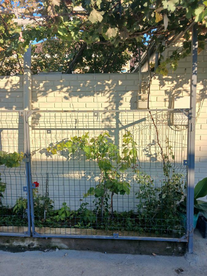 Bağ evi, 80 m², Polad Həşimov küçəsi., Bakı — Daşınmaz əmlak, Bakı (2)
