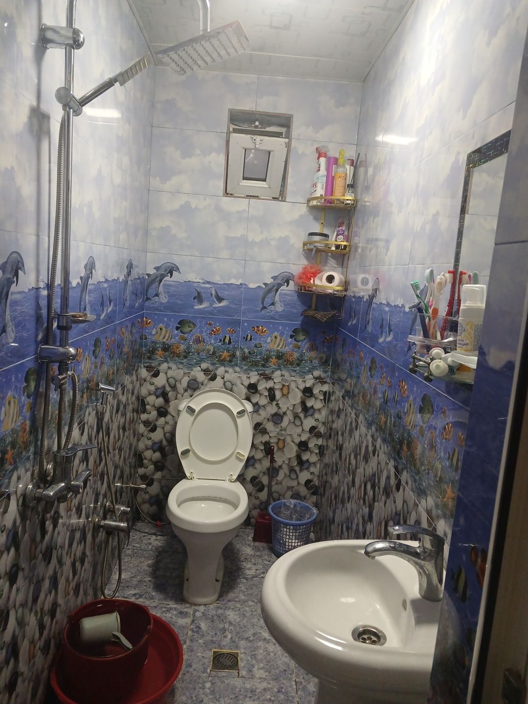 Həyət evi, Binəqədi qəs — Ev, villa, Bakı (12)