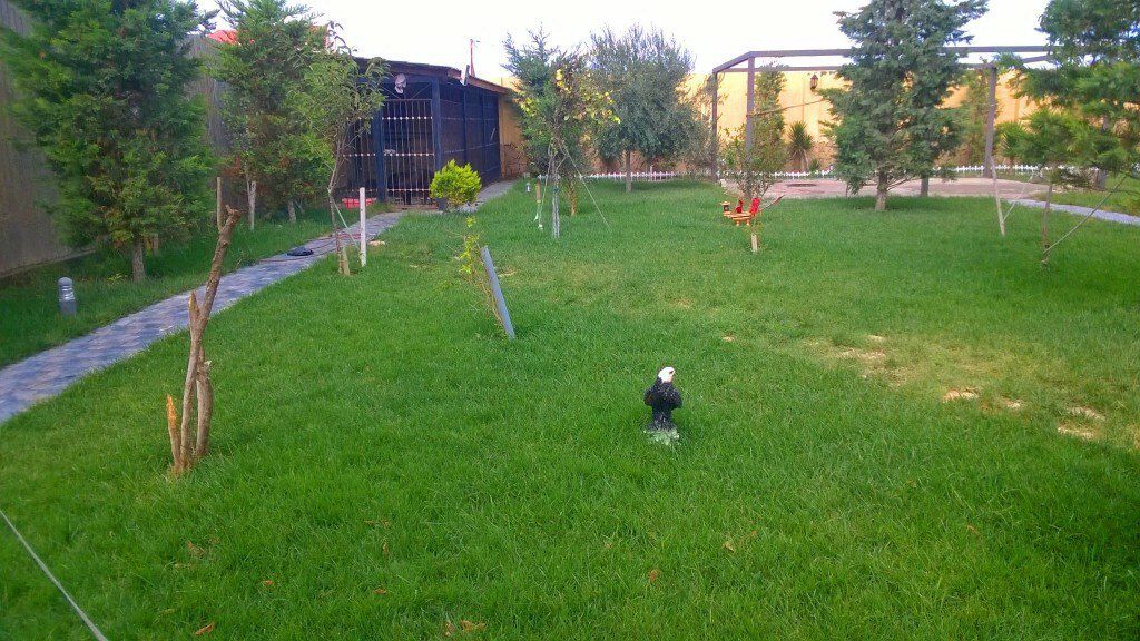 Satılır həyət evi/bağ evi 800 m² — Ev, villa, Bakı (6)