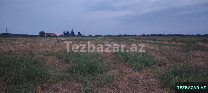 torpaq satışı — Torpaq, Bərdə (3)