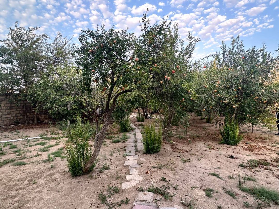 Satılır torpaq 4 sot — Torpaq, Bakı (9)
