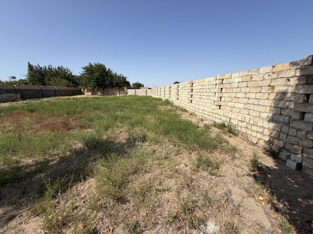Satılır torpaq 11 sot — Torpaq, Bakı (2)