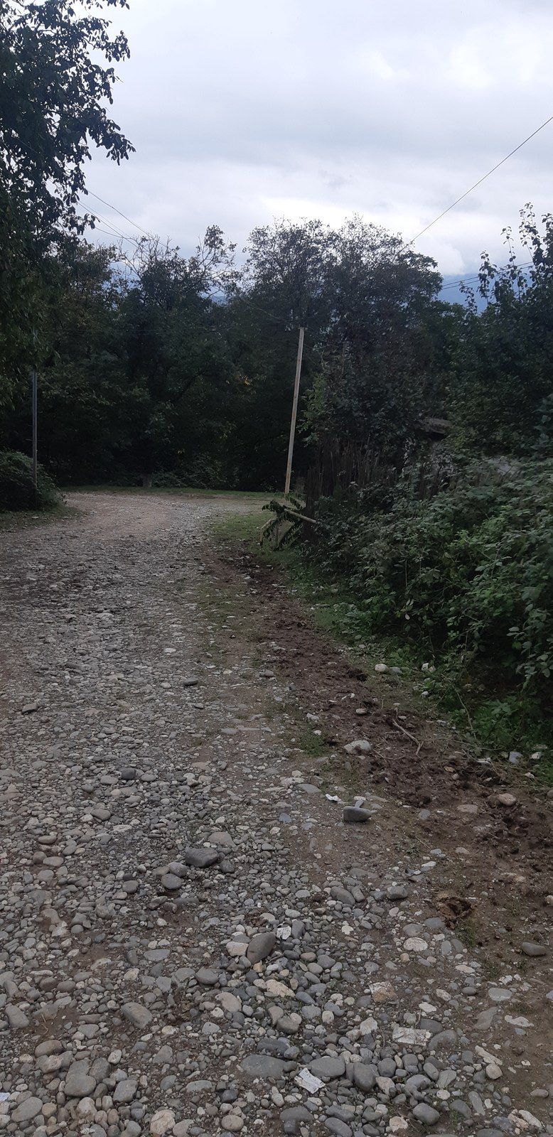 4 sot torpaq sahəsi, Quba r — Torpaq, Quba (3)