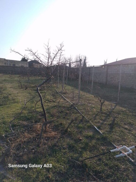 10 sot torpaq sahəsi, Maştağa qəs — Torpaq, Bakı (3)