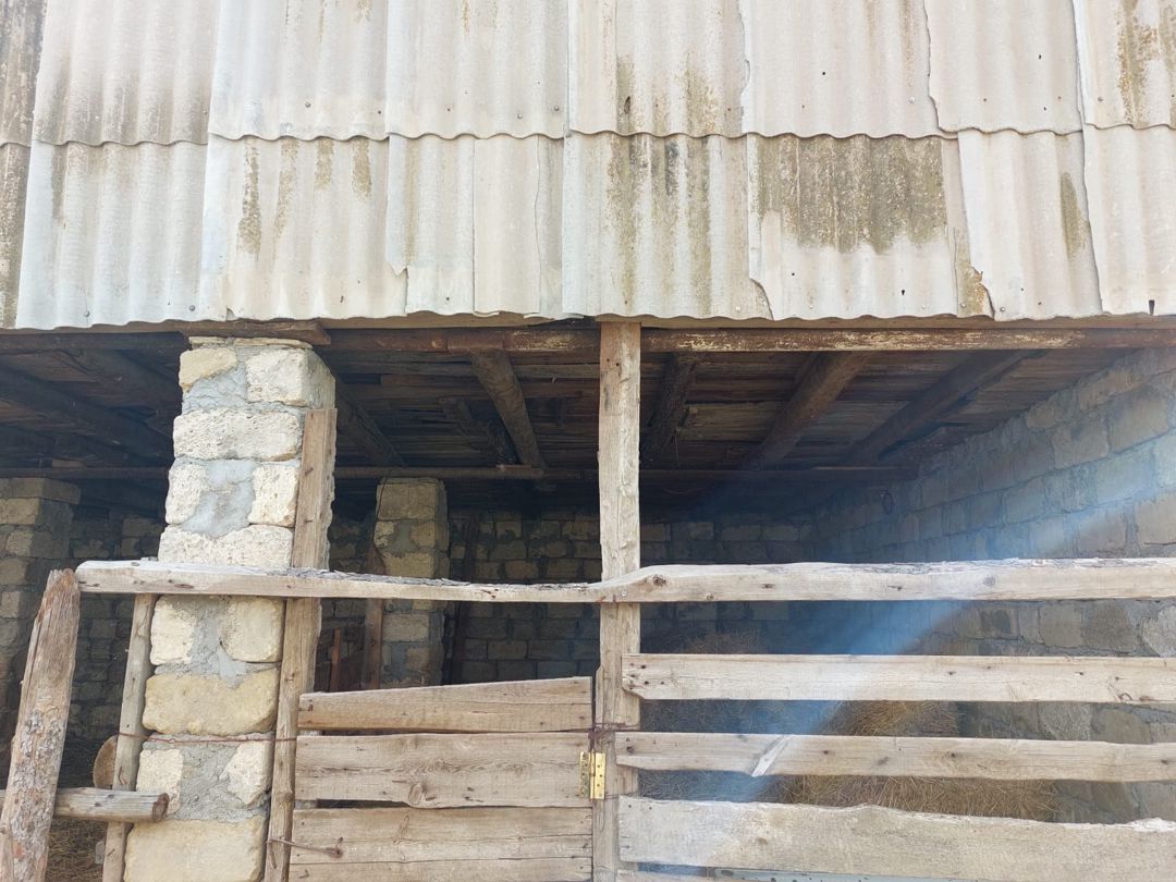 17 sot torpaq sahəsi, Şamaxı r — Torpaq, Şamaxı (12)
