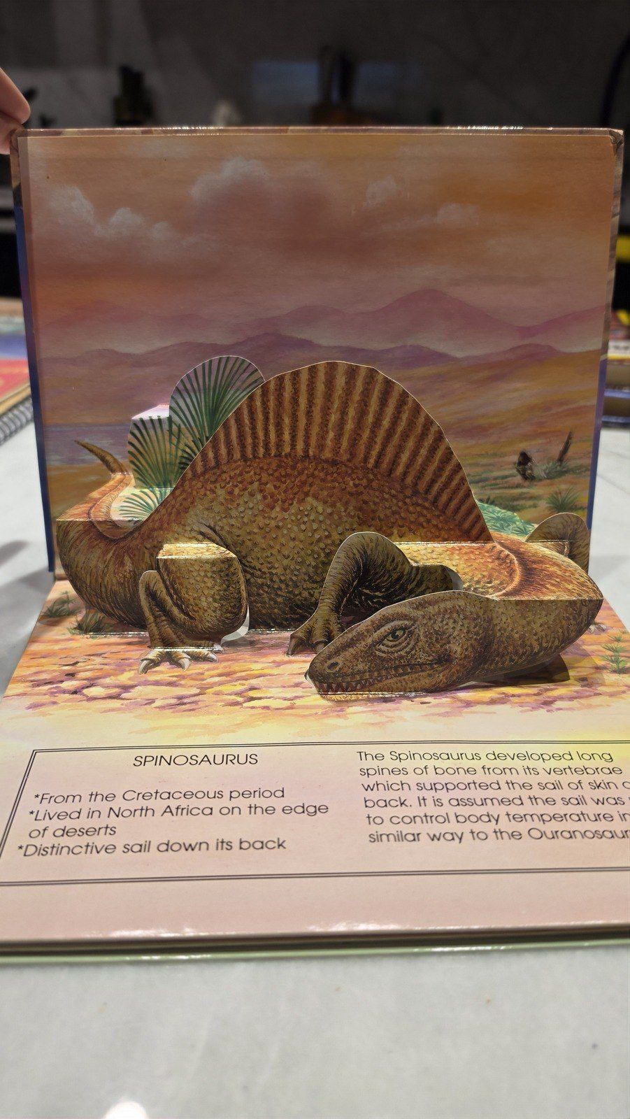 Детская 3D-книга Dinosaurs Pop-Up Book — Kitablar və jurnallar, Bakı (2)