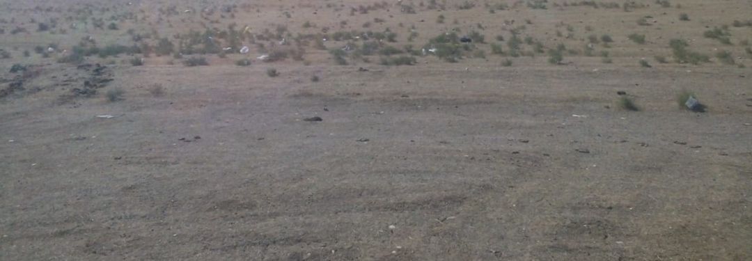Satılır torpaq 4 sot — Torpaq, Bakı (3)