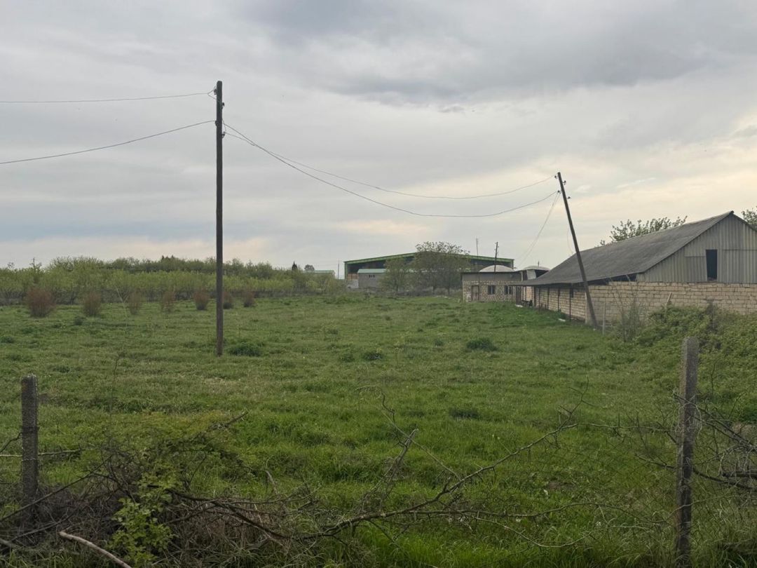 50 sot torpaq sahəsi, Tovuz rayonu — Torpaq, Tovuz (5)
