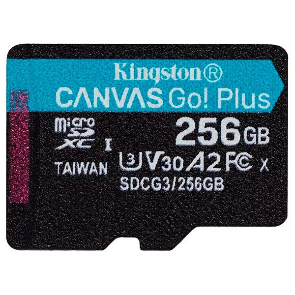 Kingston Canvas Go Plus microSD 256GB SDCG3/256GB-N Black — Noutbuk aksesuarları, Bakı (2)