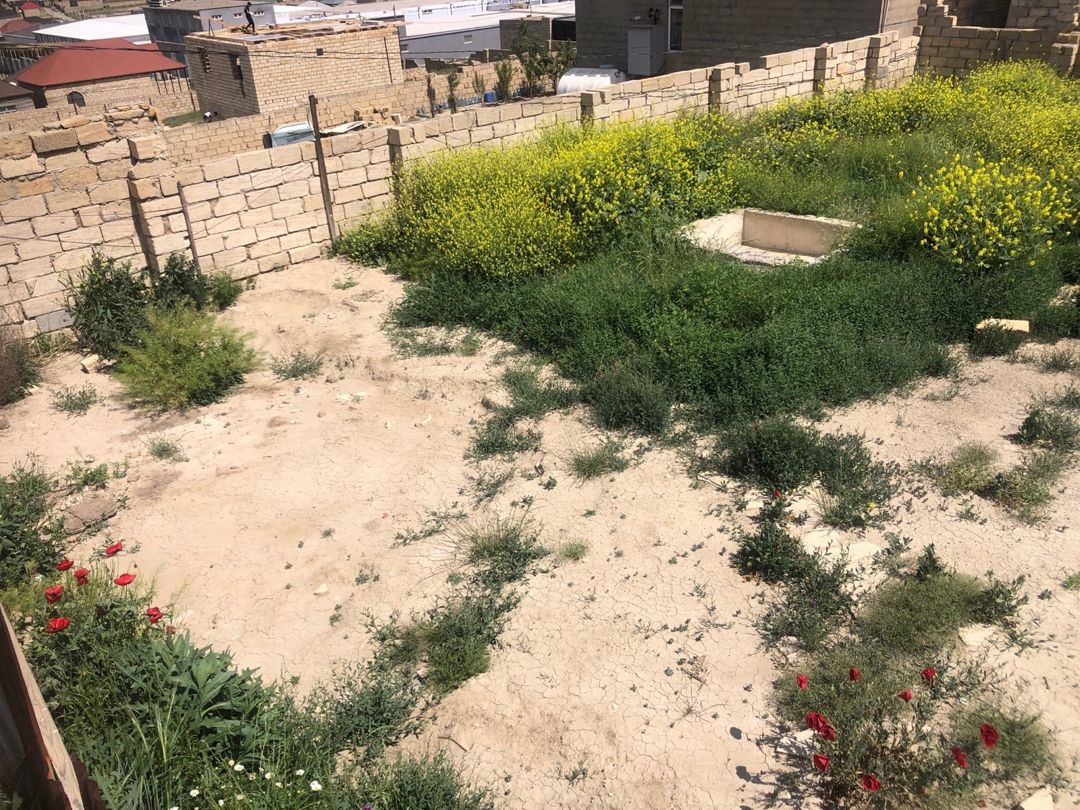 4 sot torpaq sahəsi, Qobu qəs — Torpaq, Bakı (10)