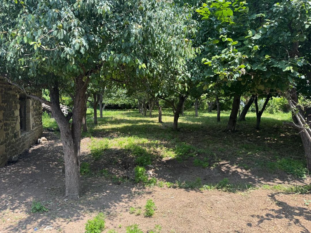 3 otaqlı kottec, 58.8 m², Koroğlu küç — Ev, villa, Gəncə (3)