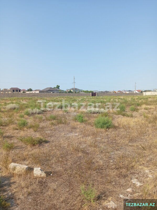 Kupçalı 12 sot torpaq — Torpaq, Bakı (8)