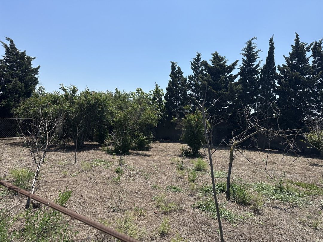 Satılır torpaq 30 sot — Torpaq, Bakı (10)