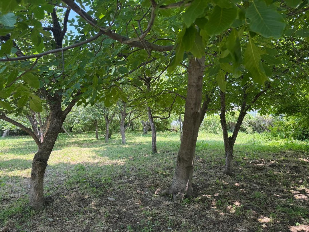 3 otaqlı kottec, 58.8 m², Koroğlu küç — Ev, villa, Gəncə (4)