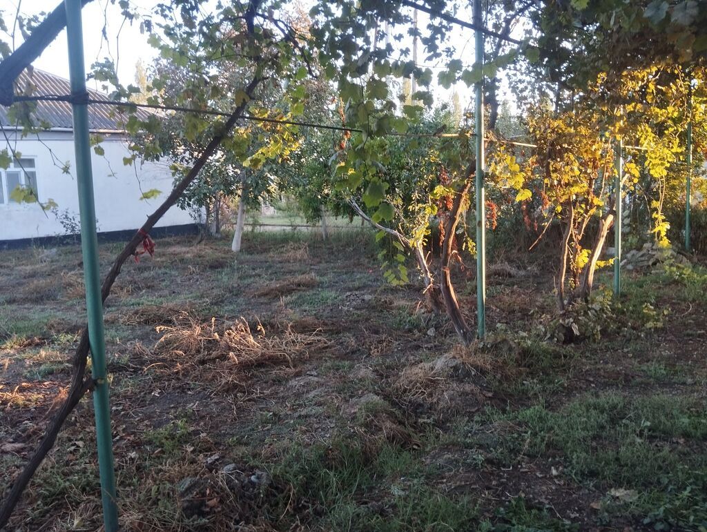 Xaçmaz, 663 kv. m, 4 otaqlı, Qaz, İşıq, Su — Ev, villa, Xaçmaz (7)