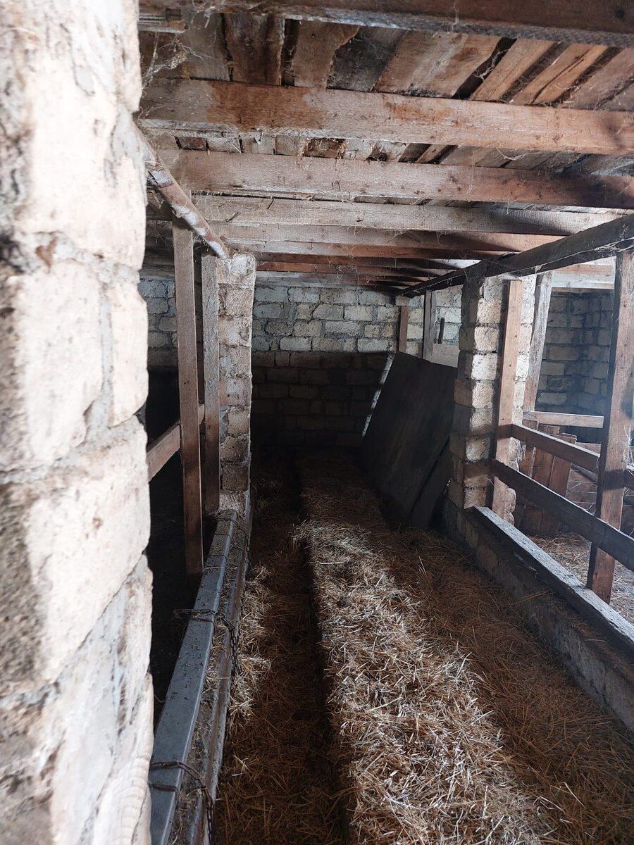 17 sot torpaq sahəsi, Şamaxı r — Torpaq, Şamaxı (2)