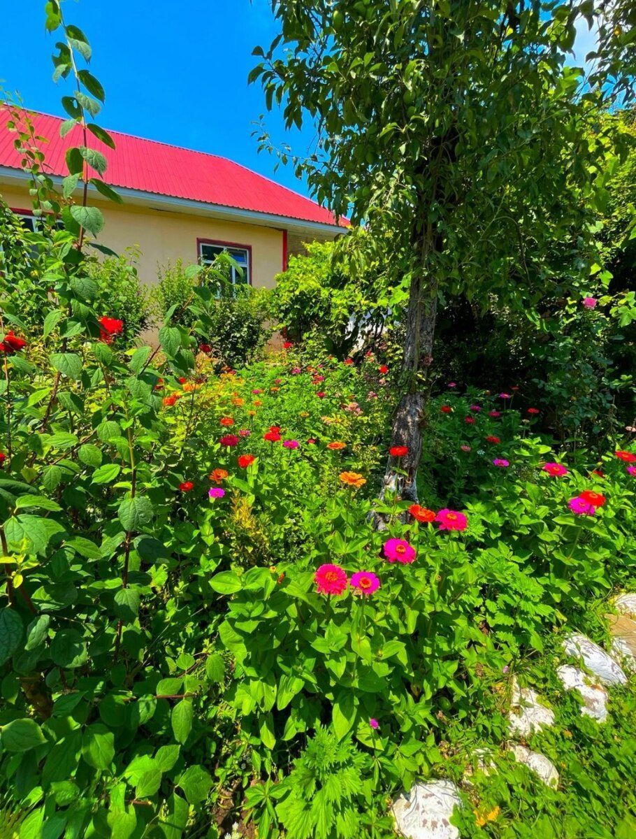 Bağ evi kirayə verilir, Lerik r — Ev, villa, Lerik (4)