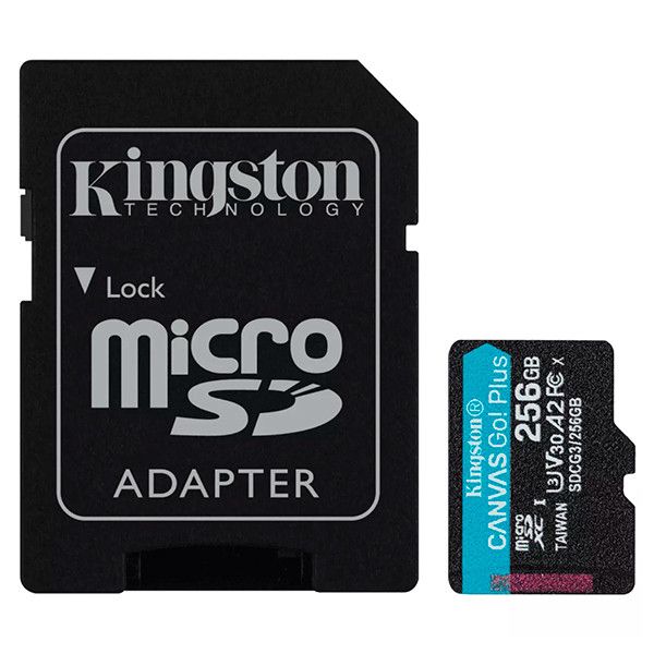 Kingston Canvas Go Plus microSD 256GB SDCG3/256GB-N Black — Noutbuk aksesuarları, Bakı