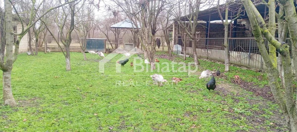 Satılır 5 otaqlı həyət evi / bağ evi 380 m², Yevlax rayonu — Ev, villa, Bakı (2)