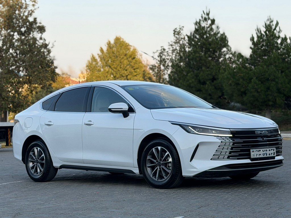 BYD Destroyer 05, 1.5 L, 18.3 kWh, 2025 il, 57 200 km — Avtomobillər, Bakı (5)