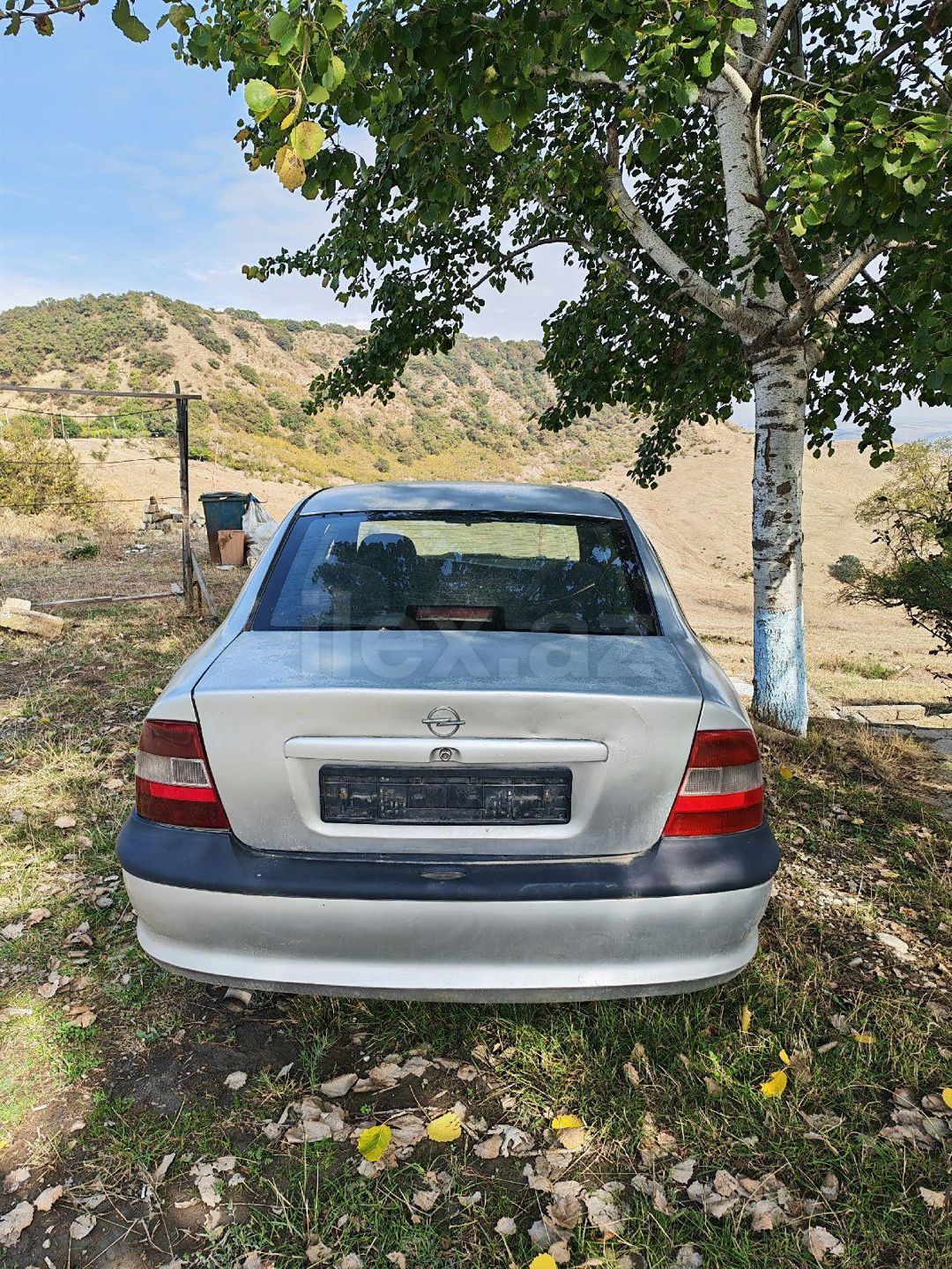 1998 Opel Vectra, 1.6 L, 1998, 1,000 km — Avtomobillər, Şamaxı (4)