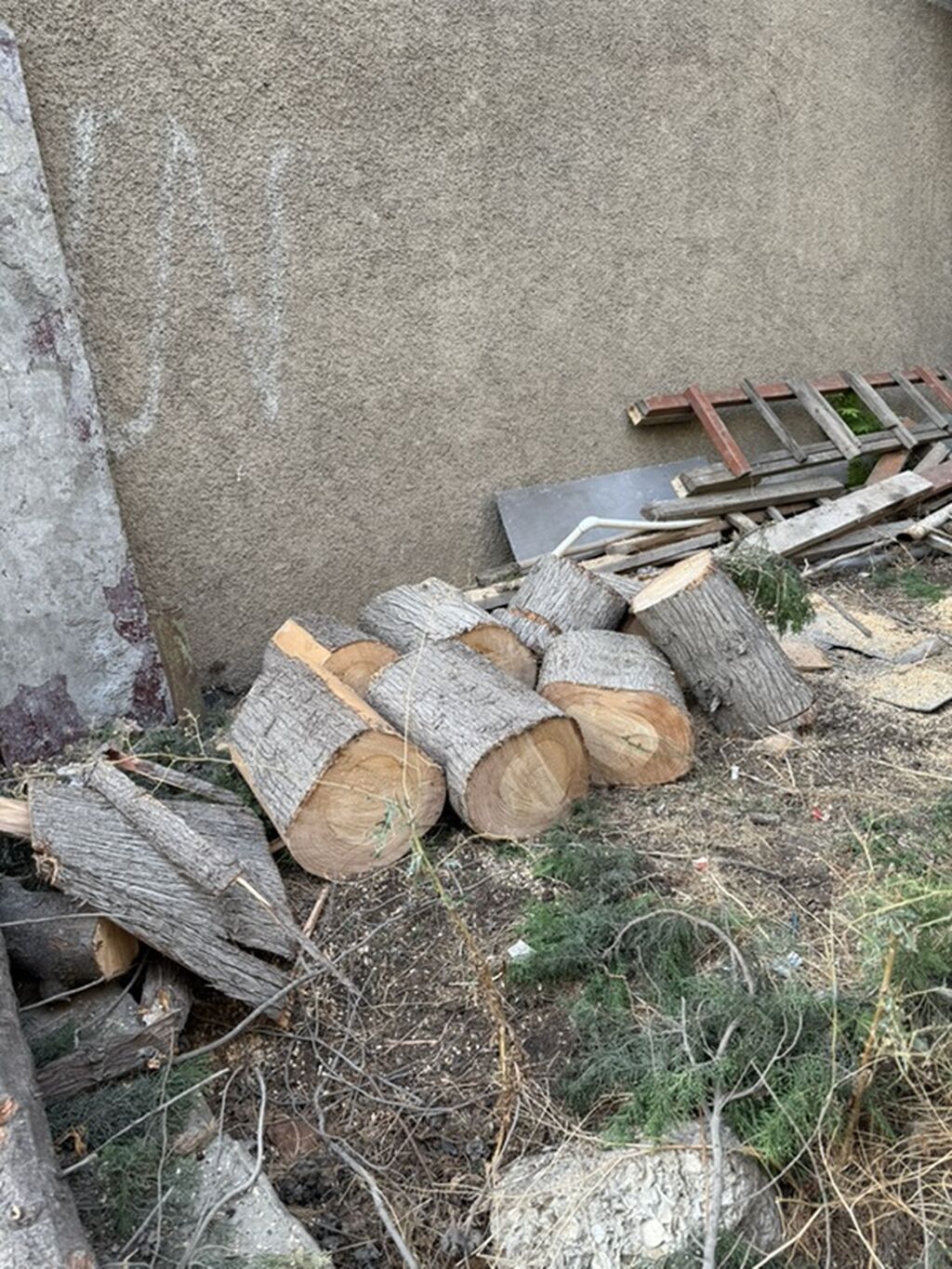 Odun materialı – qarışıq ağac gövdələri və budaqlar - Kəsilmiş qalın — Mangal və aksesuarları, Bakı (2)