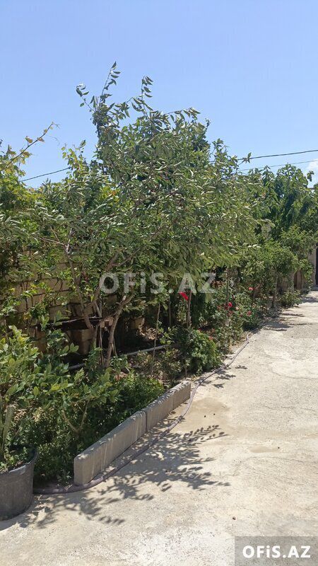 Həyət evləri Satılır Binəqədi r., Avtovağzal m., 8 otaq, 240 m² — Ev, villa, Bakı (4)