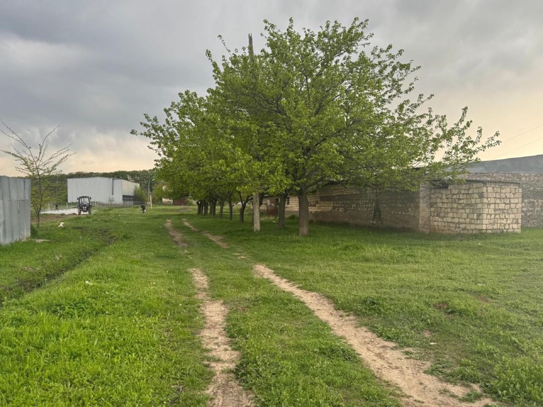 50 sot torpaq sahəsi, Tovuz rayonu — Torpaq, Tovuz (10)