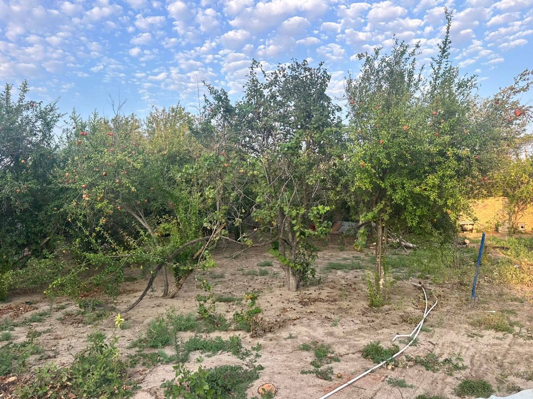 Satılır torpaq 4 sot — Torpaq, Bakı (8)