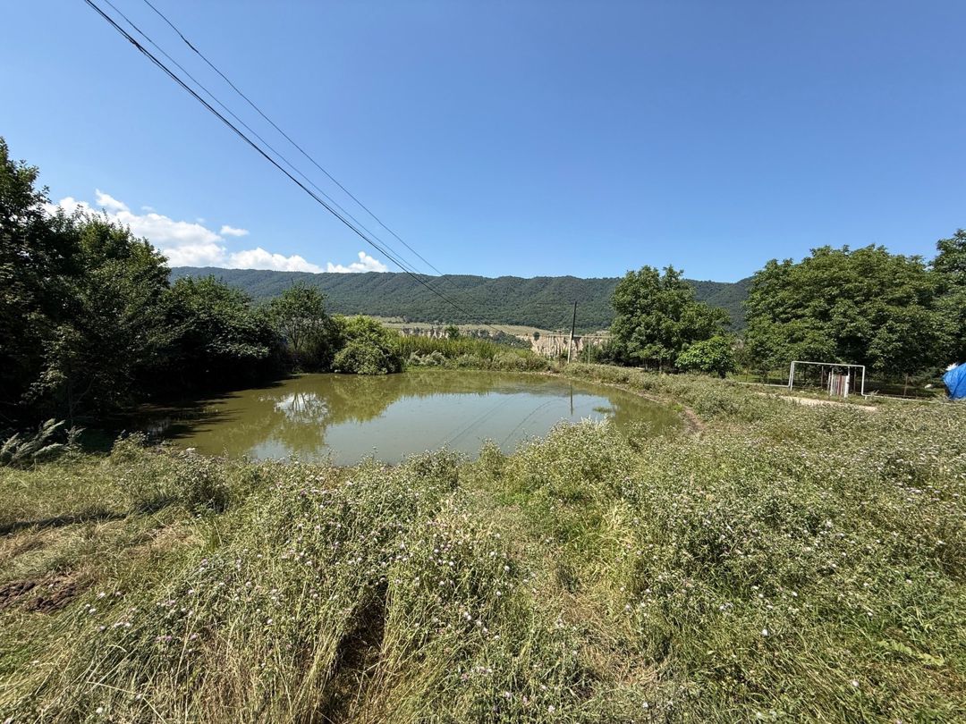 3 sot torpaq sahəsi, Qusar r — Torpaq, Qusar (5)