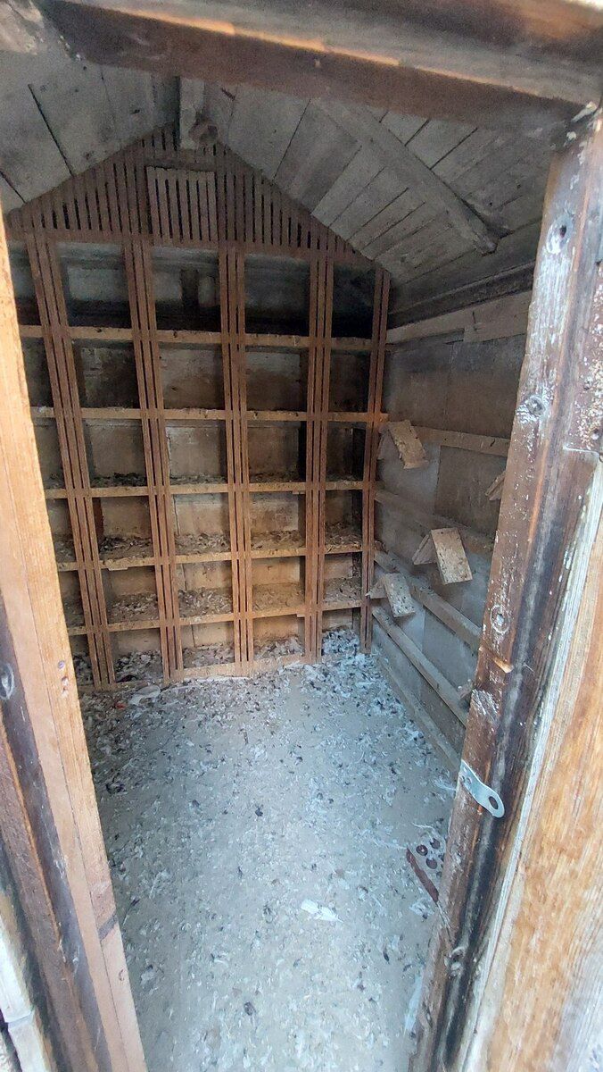 Quş yuvası — Heyvan malları, Bakı (2)