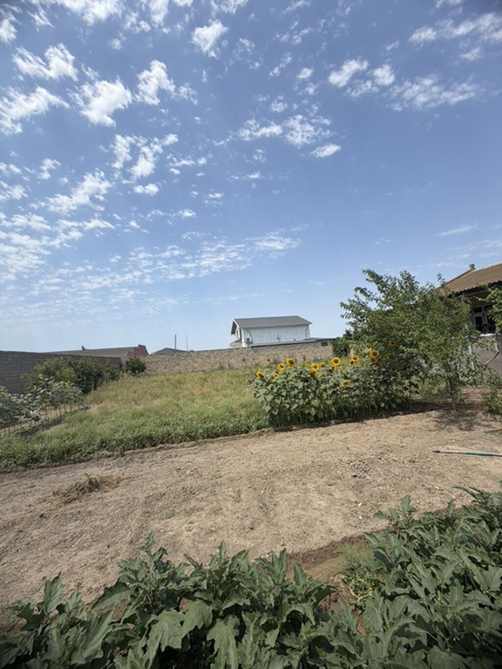 17 sot, Kənd təsərrüfatı, Mülkiyyətçi, Bələdiyyə — Torpaq, Digah
