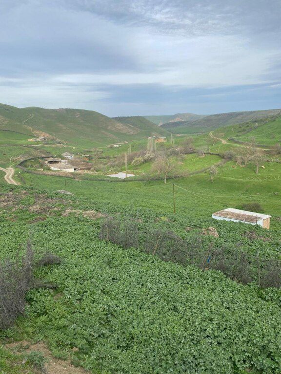 32 sot torpaq sahəsi, Qərəh Kəndi — Torpaq, Siyəzən (4)