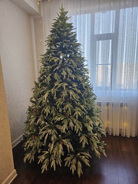Yeni il ağacı — Bakı