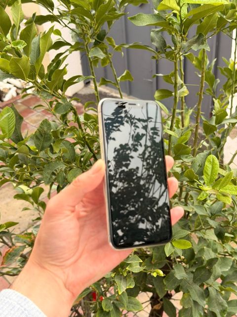 Apple iPhone X Space Gray 64GB/3GB — Bakı