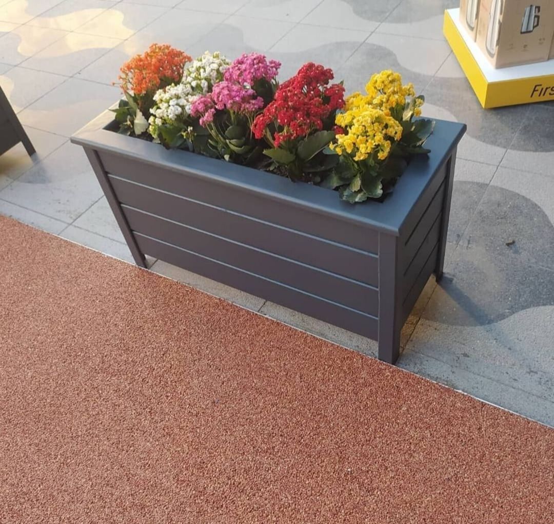 Restoranlar üçün dibçək — Bitkilər, Bakı (2)