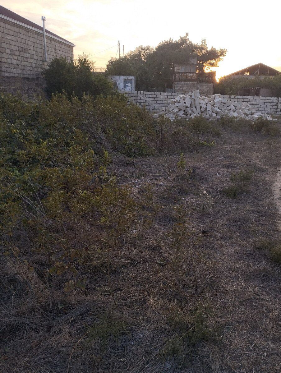 12.5 sot torpaq sahəsi, Albalı qəs — Torpaq, Bakı (4)