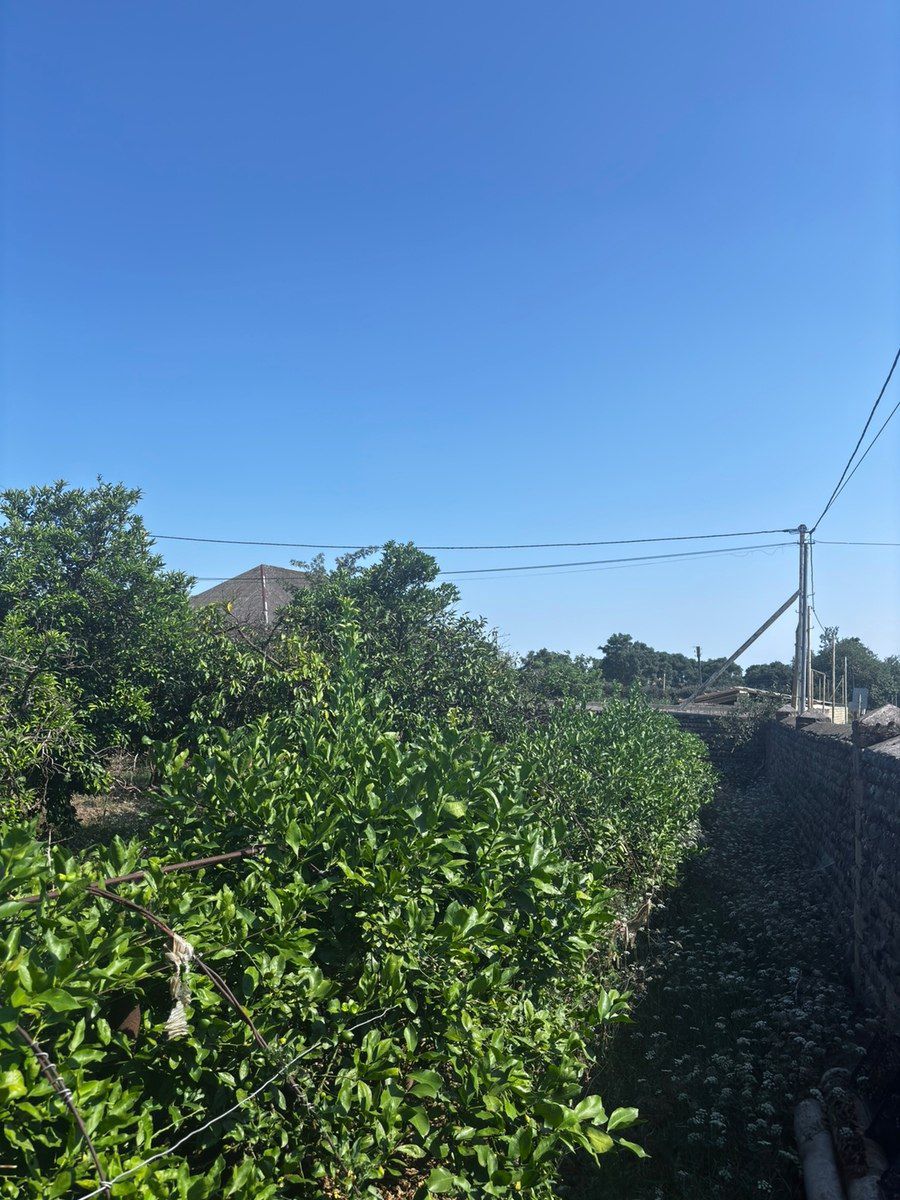 6 sot torpaq sahəsi, Astara r — Torpaq, Astara (3)