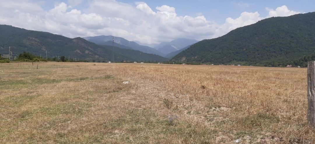 Satılır torpaq 45 sot — Torpaq, İsmayıllı (6)