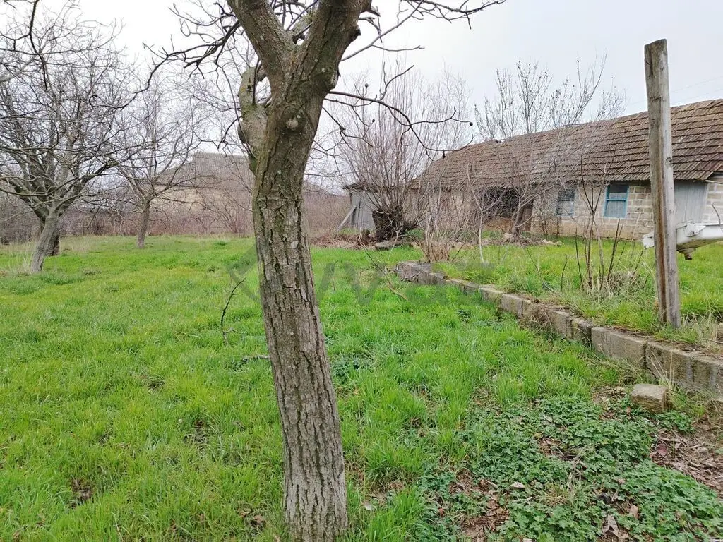 30 sot Torpaq Satılır, Qobustan — Torpaq, Qobustan (5)