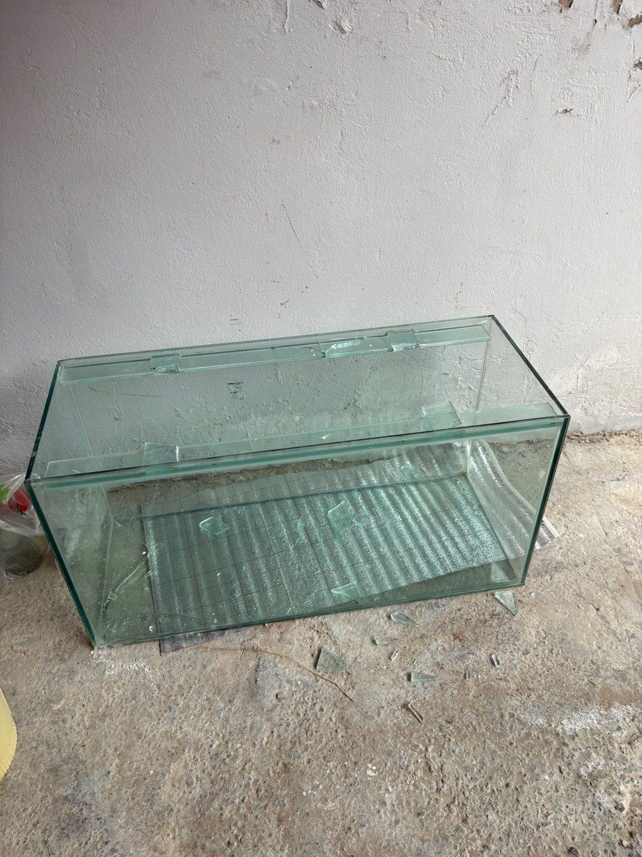 Akvarium (təmənnasız verilir) — Akvariumlar və balıqlar, Bakı