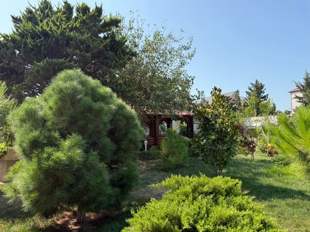 Bağ evi kirayə verilir, Mərdəkan qəs — Ev, villa, Bakı (4)
