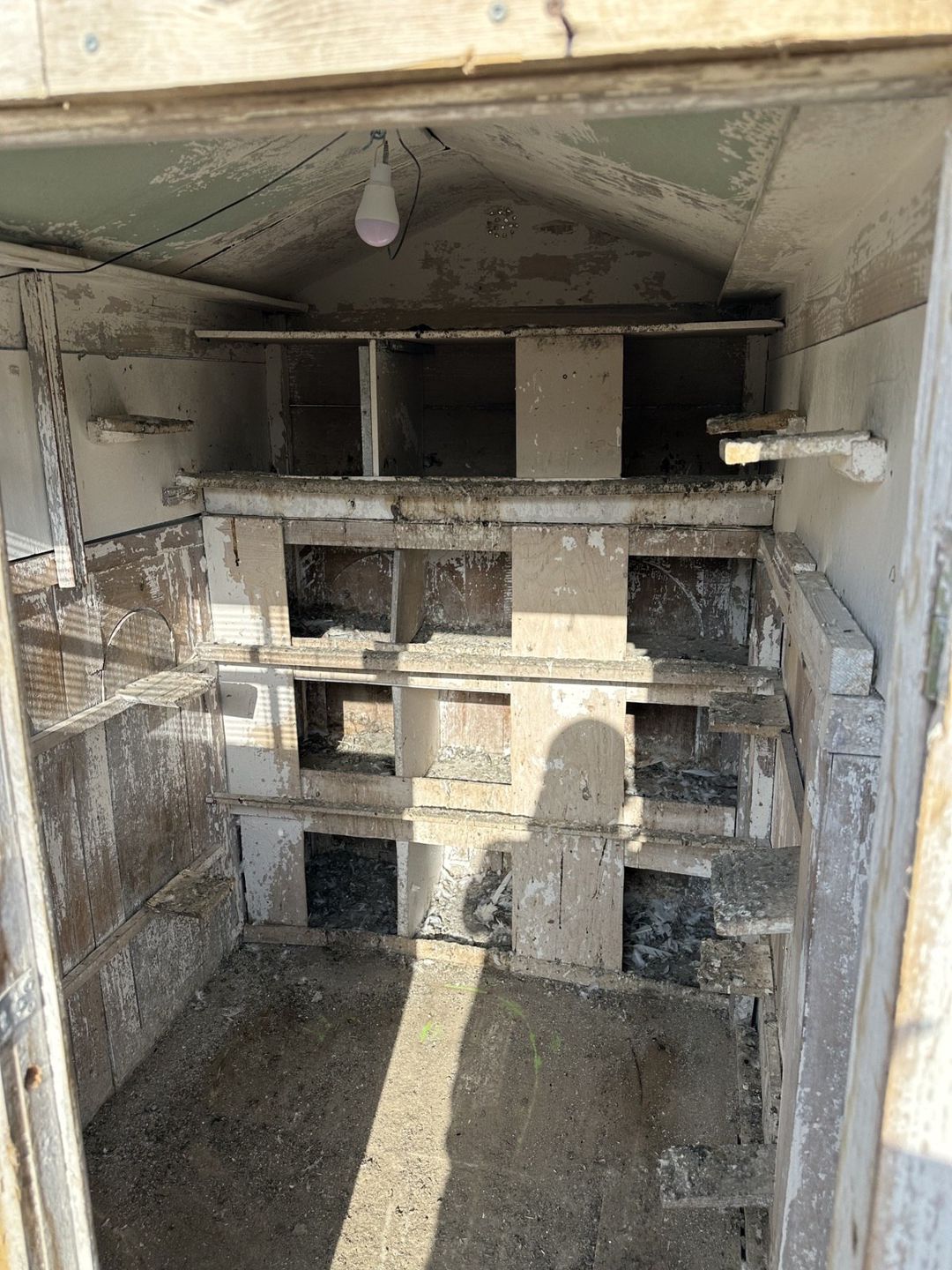 Quş yuvası — Heyvan malları, Bakı (4)