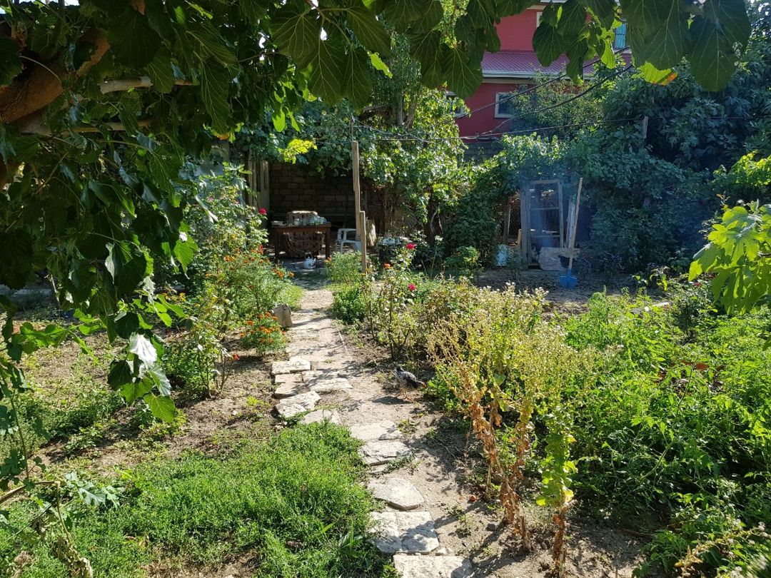 Torpaq sahəsi, 4 sot, Tikinti təyinatlı, Kupçalı, Sulutəpə, Bakı — Torpaq, Bakı (3)