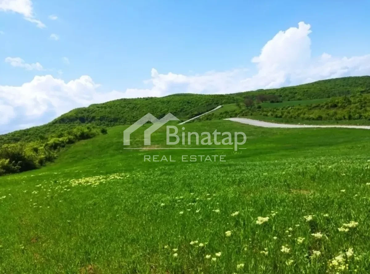 Satılır torpaq 524 sot, Quba rayonu — 52 400 ₼ · Bakı · Torpaq Satılır torpaq 524 sot, Quba rayonu — Bakı