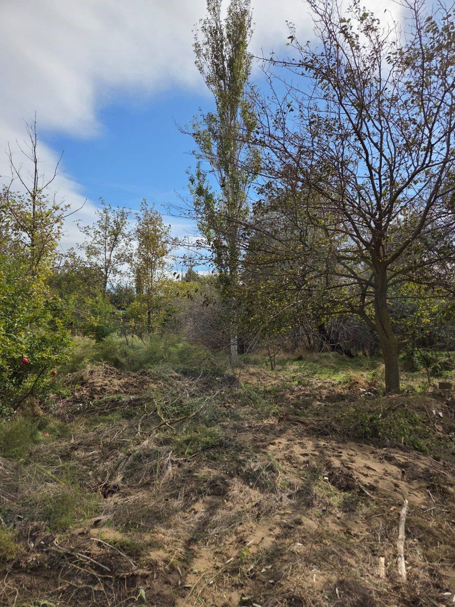 3 sot torpaq sahəsi, Sumqayıt ş — Torpaq, Sumqayıt (5)