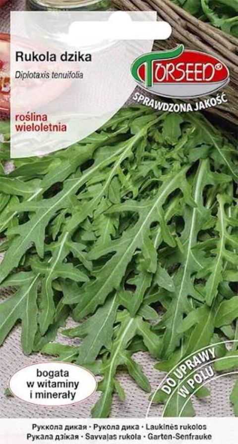 Rukola tumu — Bakı