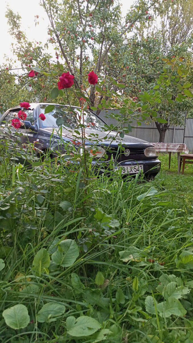 Volkswagen Golf, 1992 il 99-LX-542 — Avtomobillər, Balakən (3)